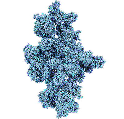 ACC inhibitor NDI-010976 (MASH, liver cancer, others)