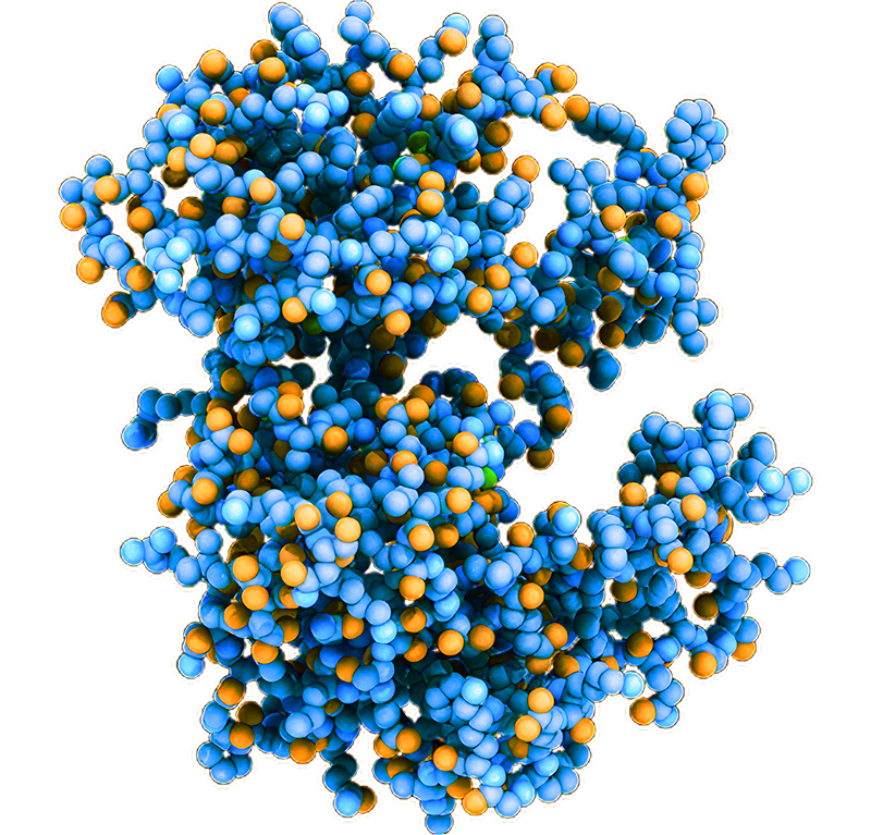 HPK1 inhibitor NDI-101150 in Phase 1/2 clinical trials