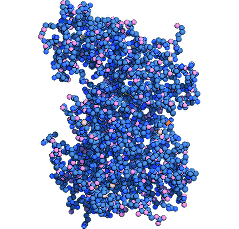 SIK inhibitor (multiple diseases)