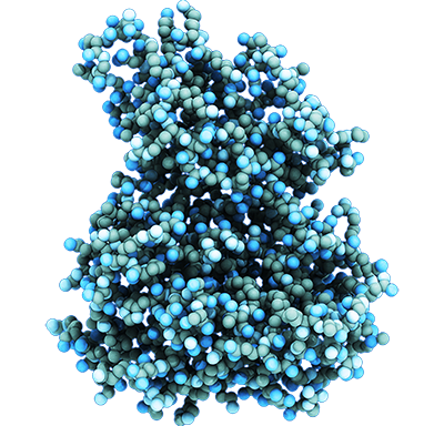 TYK2 inhibitor zasocitinib (immune-mediated diseases)